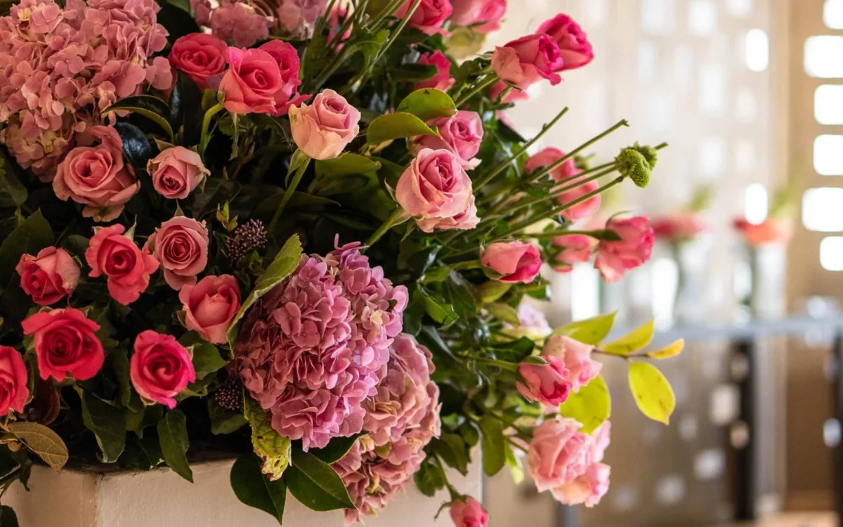 Ohana_11_6e9775f3-e4ba-427c-81c2-9e792a85c490