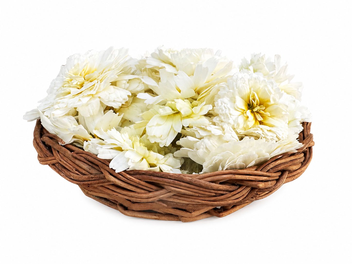 1 - White Chrysanthemum Flower ( Guldawari) 100 g 30rs