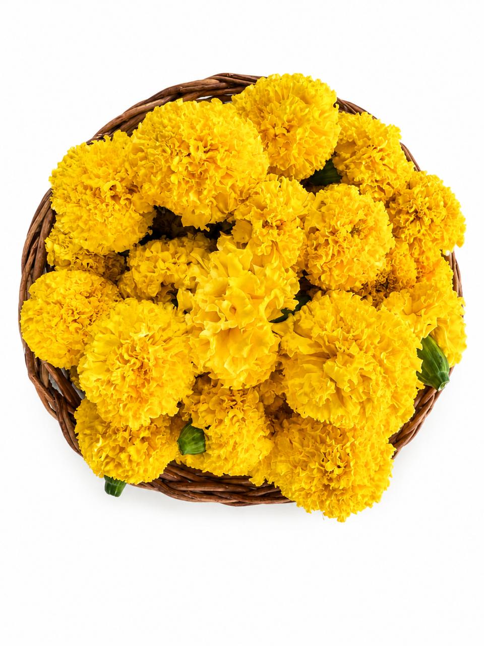 1 - Yellow Marry Gold ( Genda ) 100g - 30rs
