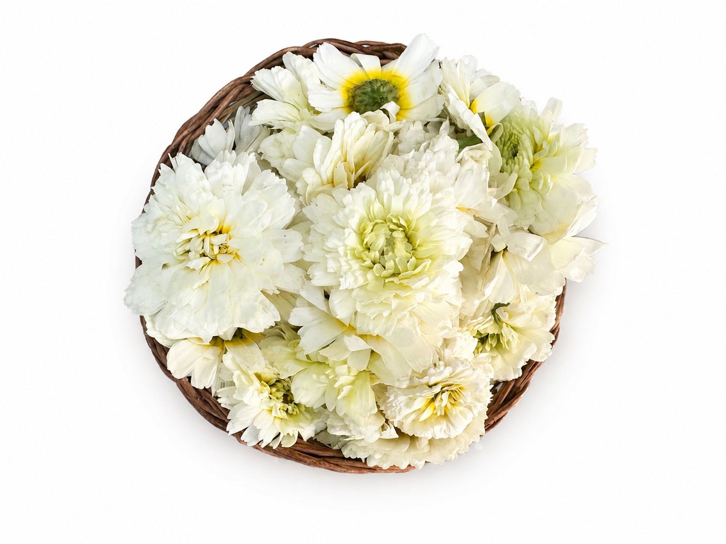 2 - White Chrysanthemum Flower ( Guldawari) 100 g 30rs