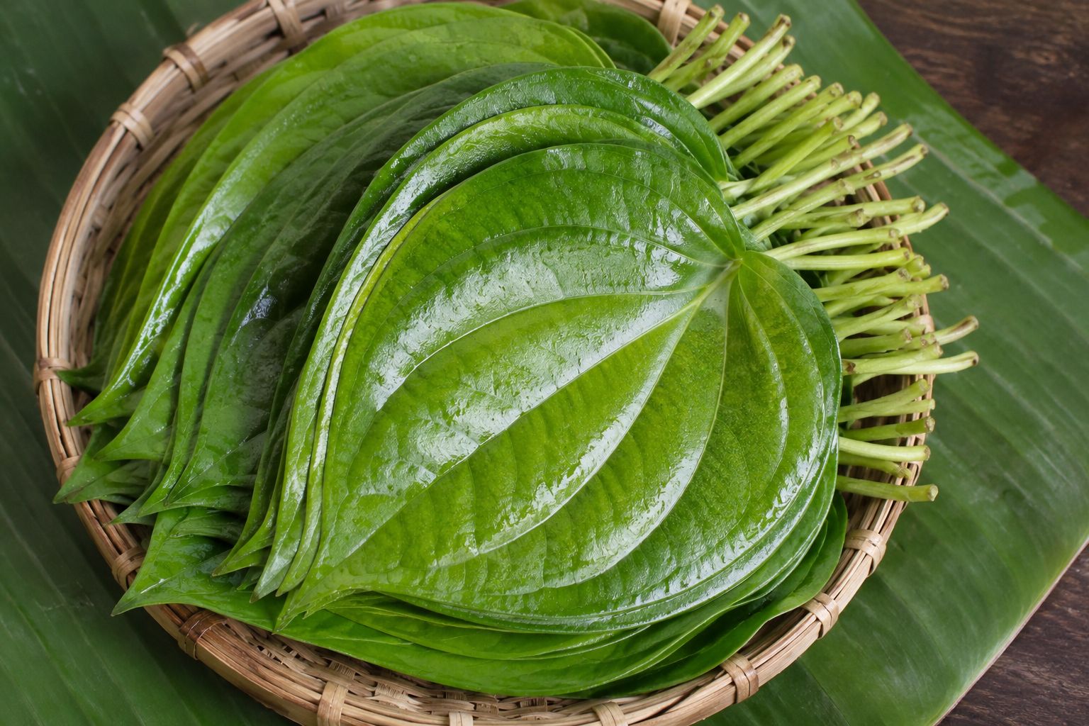 Pan Leaves 5 pcs 15rs